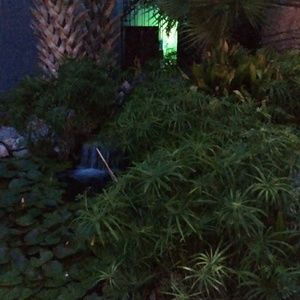 Meet your Posher, Melba